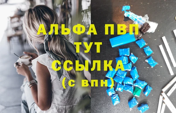 индика Абаза