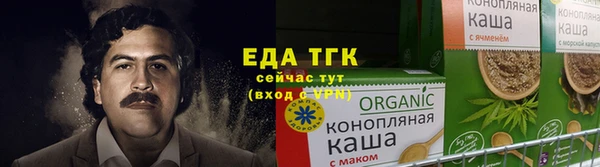 индика Абаза