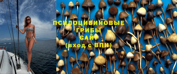 мяу мяу мука Алзамай