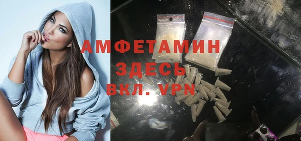 индика Абаза