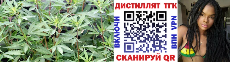 Дистиллят ТГК Wax  кракен рабочий сайт  Елизаветинская  где купить  