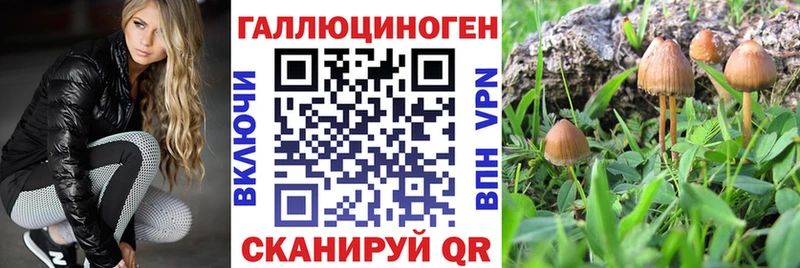 купить закладку  Елизаветинская  Галлюциногенные грибы GOLDEN TEACHER 